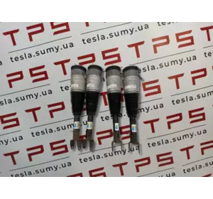 Амортизатор передній лівий/правий RWD Tesla Model S, 6006351-00(04)-C