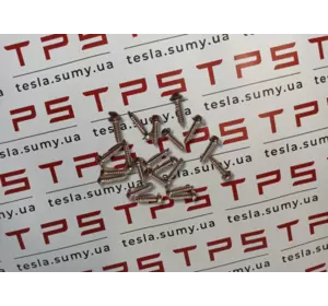 Шуруп кріплення "черепашки" TPG TRX PLFG M5-DPTx22[St]-RND-10 MSMSR Tesla Model S, 1006534-00-A